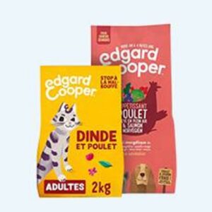 Packet Mockup